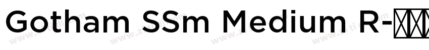 Gotham SSm Medium R字体转换